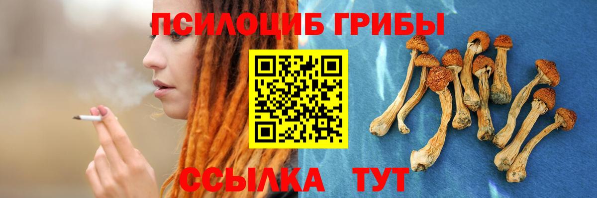 Нижний Новгород  Галлюциногенные грибы ЛСД  Вход с VPN 